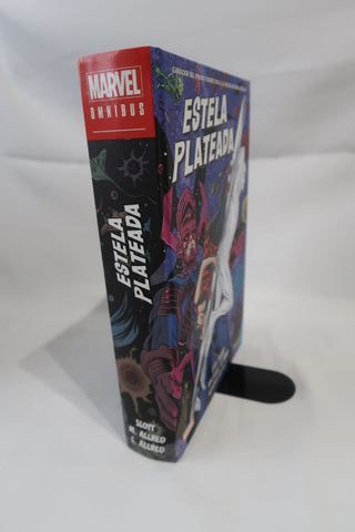 (L82) Lote Estela Plateada PANINI