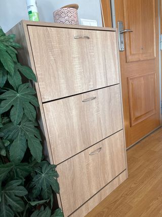 Zapatero de madera y plástico