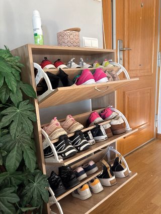 Zapatero de madera y plástico