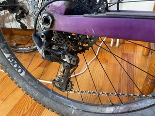 Orbea Rallon 2019 Morada