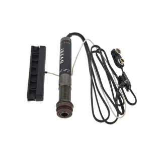 Pastilla L.R.Baggs iBEAM Active System