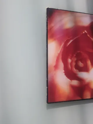 Vinilo BB Sin Sed - Casa Doce