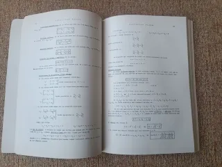 Problemas de Matemáticas Tebar Flores