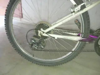 Bicicleta Niña BH Pinky Oregón