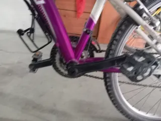 Bicicleta Niña BH Pinky Oregón