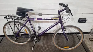 Bicicleta Morada Clásica