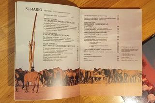 Lote 2 libros Enciclopedia del caballo y Caballos.
