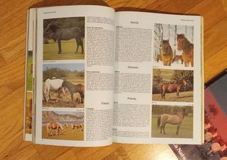 Lote 2 libros Enciclopedia del caballo y Caballos.