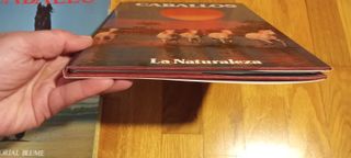 Lote 2 libros Enciclopedia del caballo y Caballos.