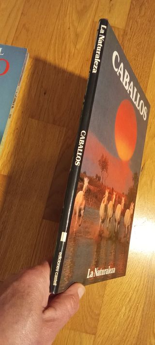 Lote 2 libros Enciclopedia del caballo y Caballos.