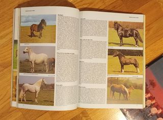 Lote 2 libros Enciclopedia del caballo y Caballos.