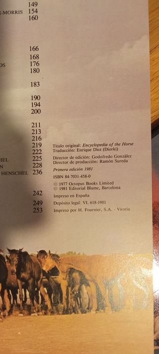 Lote 2 libros Enciclopedia del caballo y Caballos.