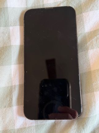 iPhone 13 Pro 128GB - Batería 77%