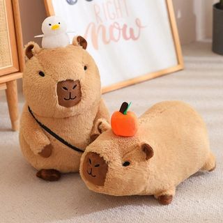Peluche Capybara con Accesorios
