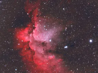 Telescopio Celestron Nexstar 8SE