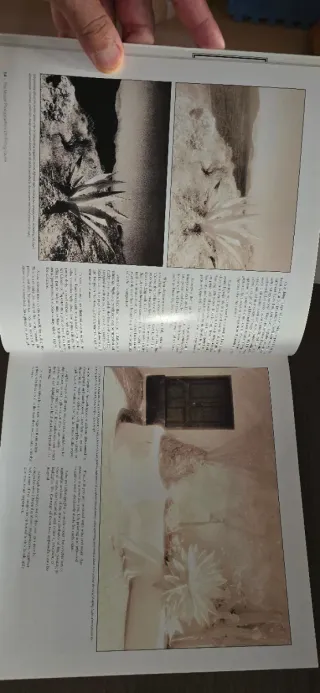 The Master Photographer’s Lith Printing Course
