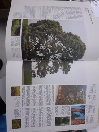 Libros sobre botanica