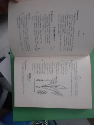 Libros sobre botanica