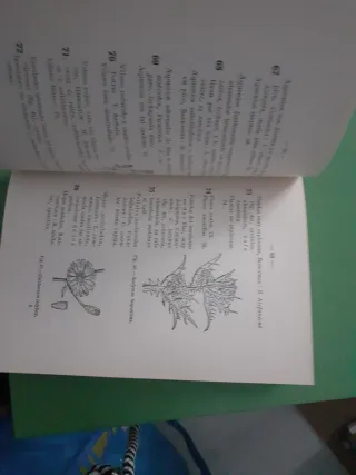 Libros sobre botanica