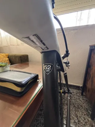 Bicicleta carretera carbono Specialized