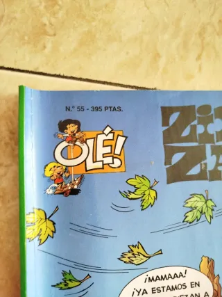 Lote comics Zipi y Zape, Mortadelo..