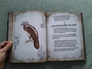 Libro de hechizos de Mal