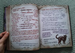 Libro de hechizos de Mal