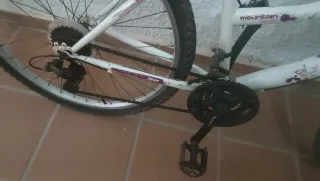 Bicicleta de montaña blanca y morada