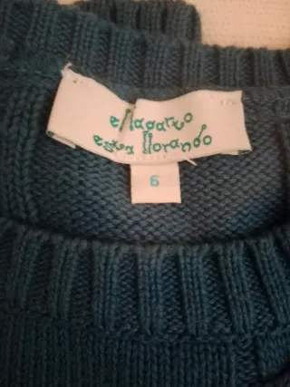 Pantalon corto y jersey