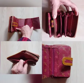 5 portafogli/borsellini Carpisa