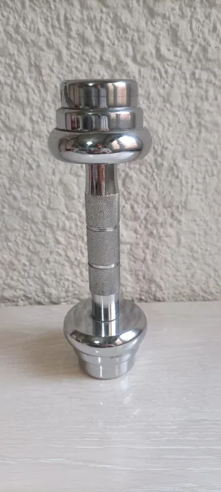 Mancuerna Acero 2.3 kg