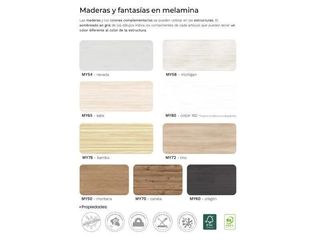 LITERA TIPO TREN CON ARMARIO OMEGA.