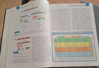 Fundamentos de psicobiología