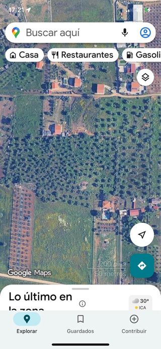 Olivar con escritura y luz