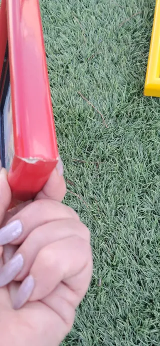 Regalo Lote 3 cuadros perritos a cañamazo