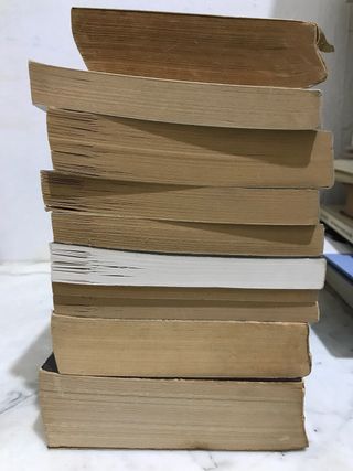 Lote manuel 10 libros inglés