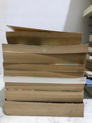 Lote manuel 10 libros inglés