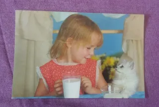 Lote Postales y Tarjetas Años 80-90