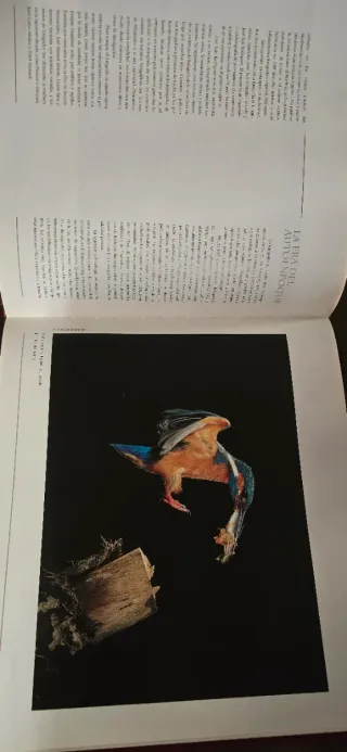 Fotógrafos de la Naturaleza