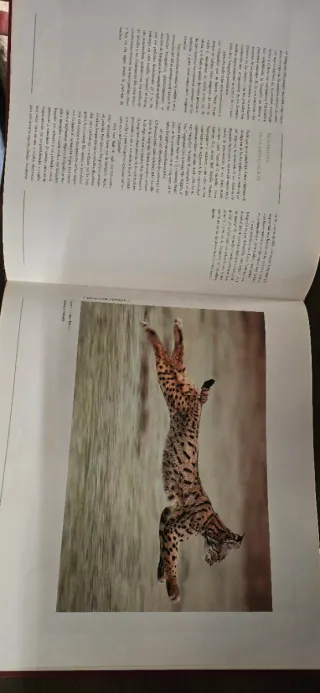 Fotógrafos de la Naturaleza