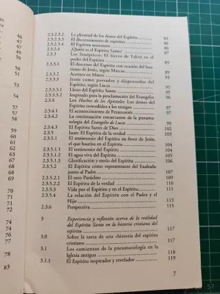 Libro Pneumatología - Bernd Jochen Hilberath