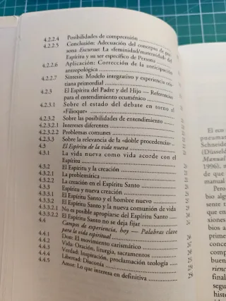 Libro Pneumatología - Bernd Jochen Hilberath