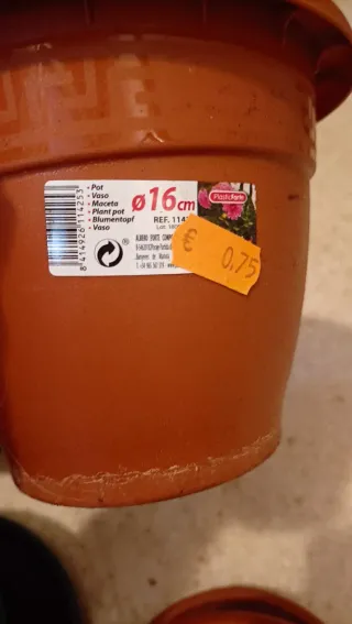 Lote 5 macetas medianas de plástico