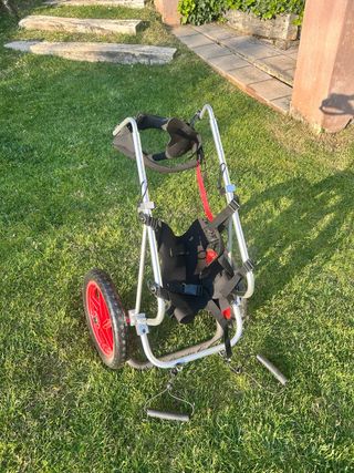 Silla de ruedas para perro grande L/XL