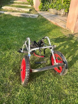 Silla de ruedas para perro grande L/XL