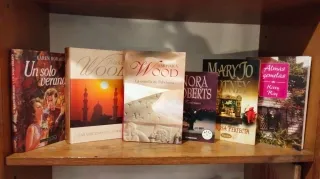 6 novelas de literatura romántica