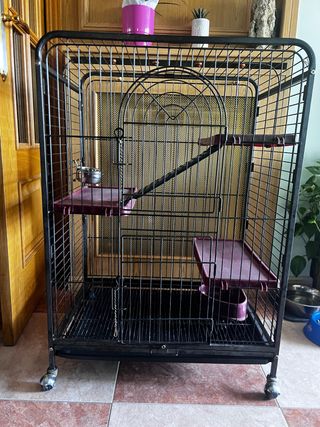 Jaula Hurones/Chinchillas Negra y Morada