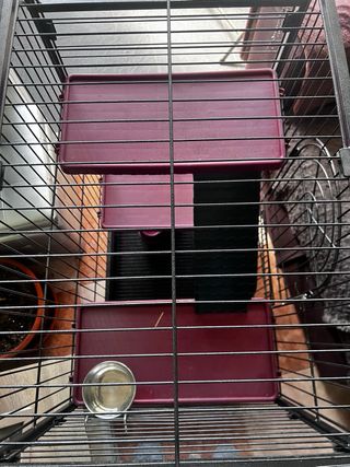 Jaula Hurones/Chinchillas Negra y Morada