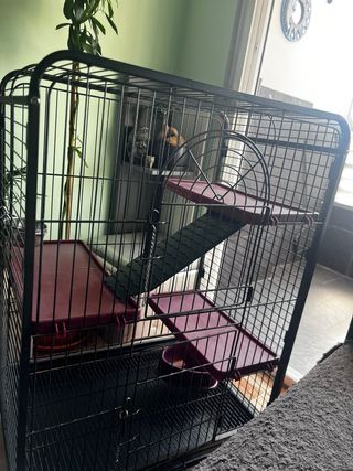 Jaula Hurones/Chinchillas Negra y Morada