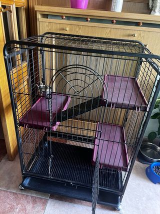 Jaula Hurones/Chinchillas Negra y Morada